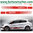 Fiat Punto + Grande Punto ABARTH EVO XL Seitenstreifen Dekor Aufkleber Set Art.: 2322